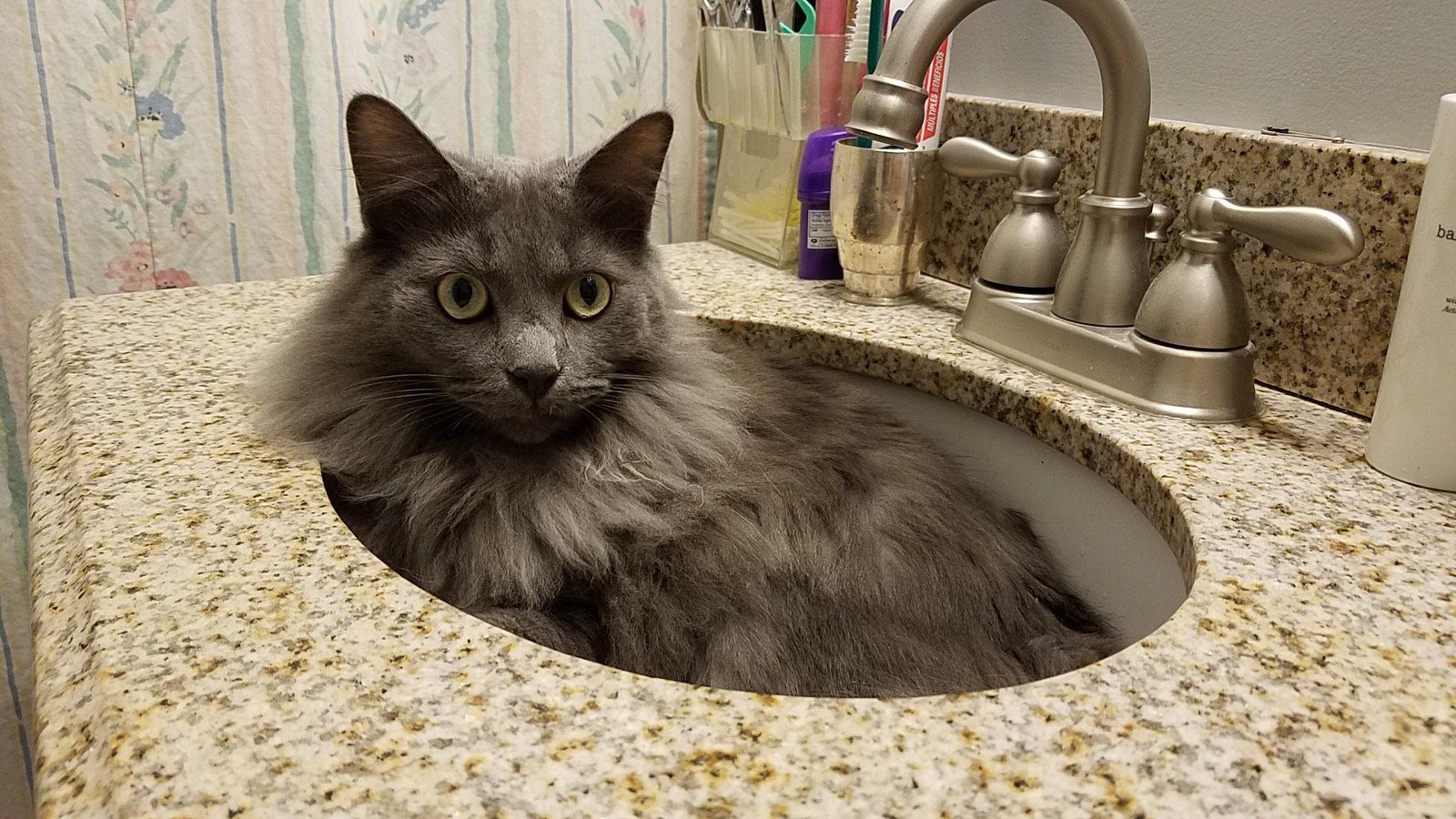 Blue In The Sink