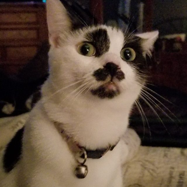 Wasn't ME!