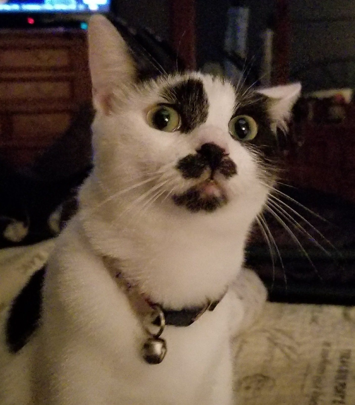 Wasn't ME!