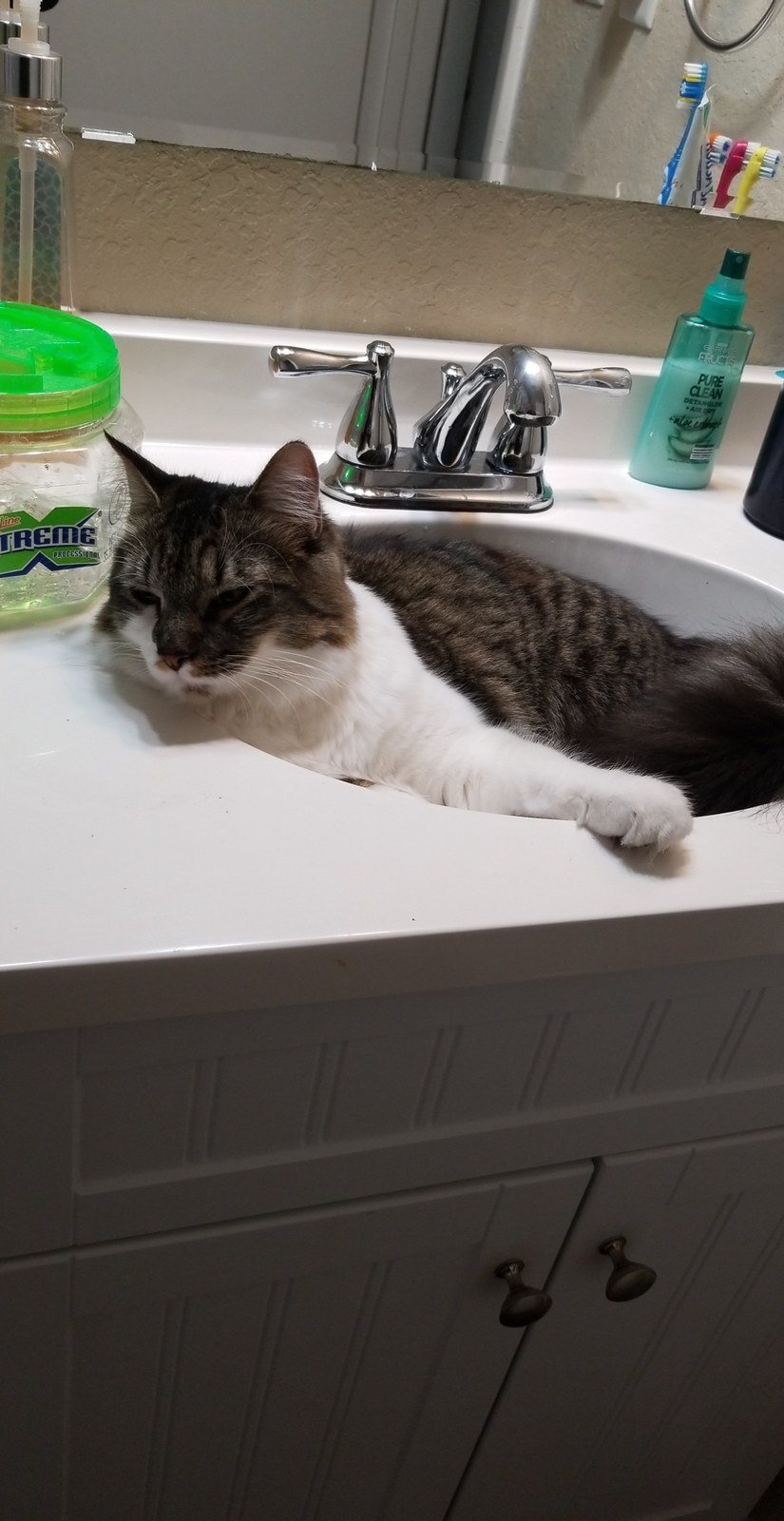 Sink Chillin'
