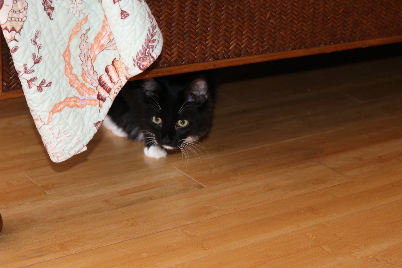May I Come Out Now?