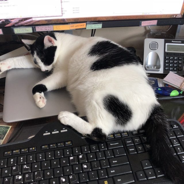 Work Is Boring!
