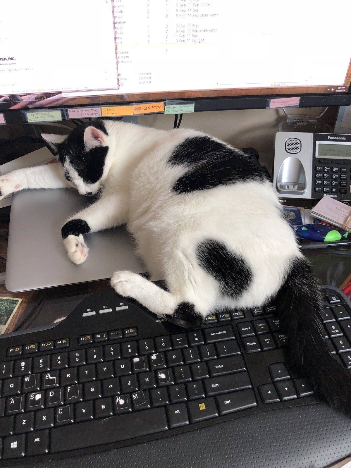 Work Is Boring!