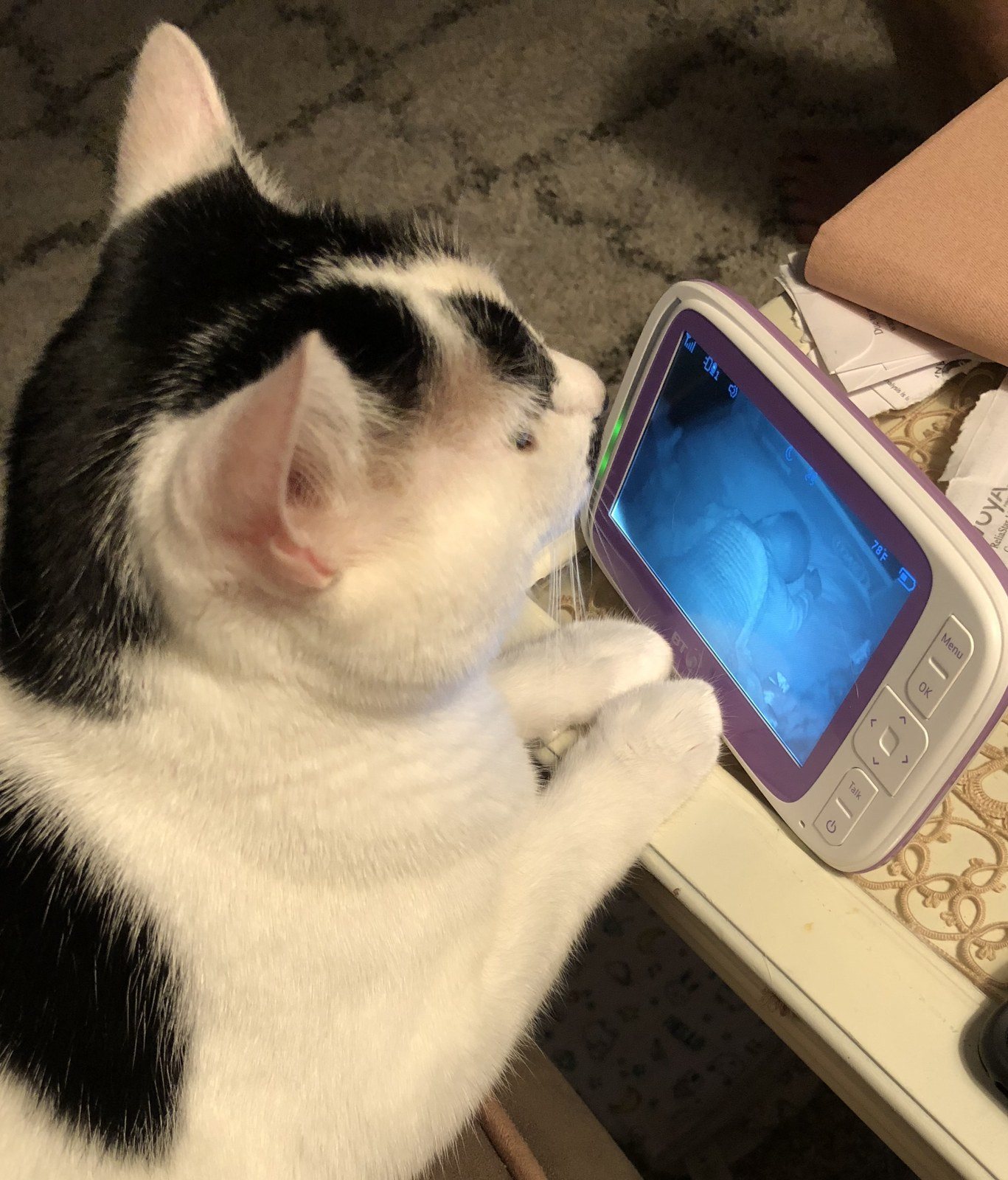 Charlie Watching Charlie