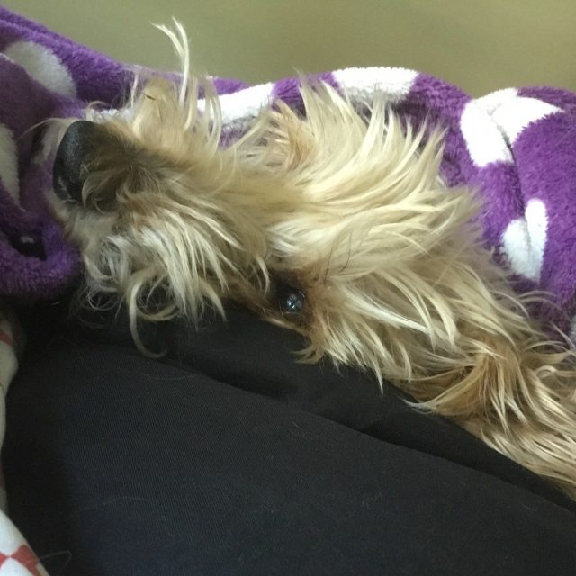 Who Turned Down The Temperature?