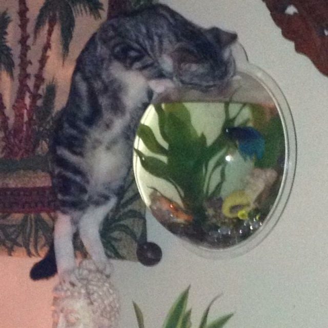 Un-Zen