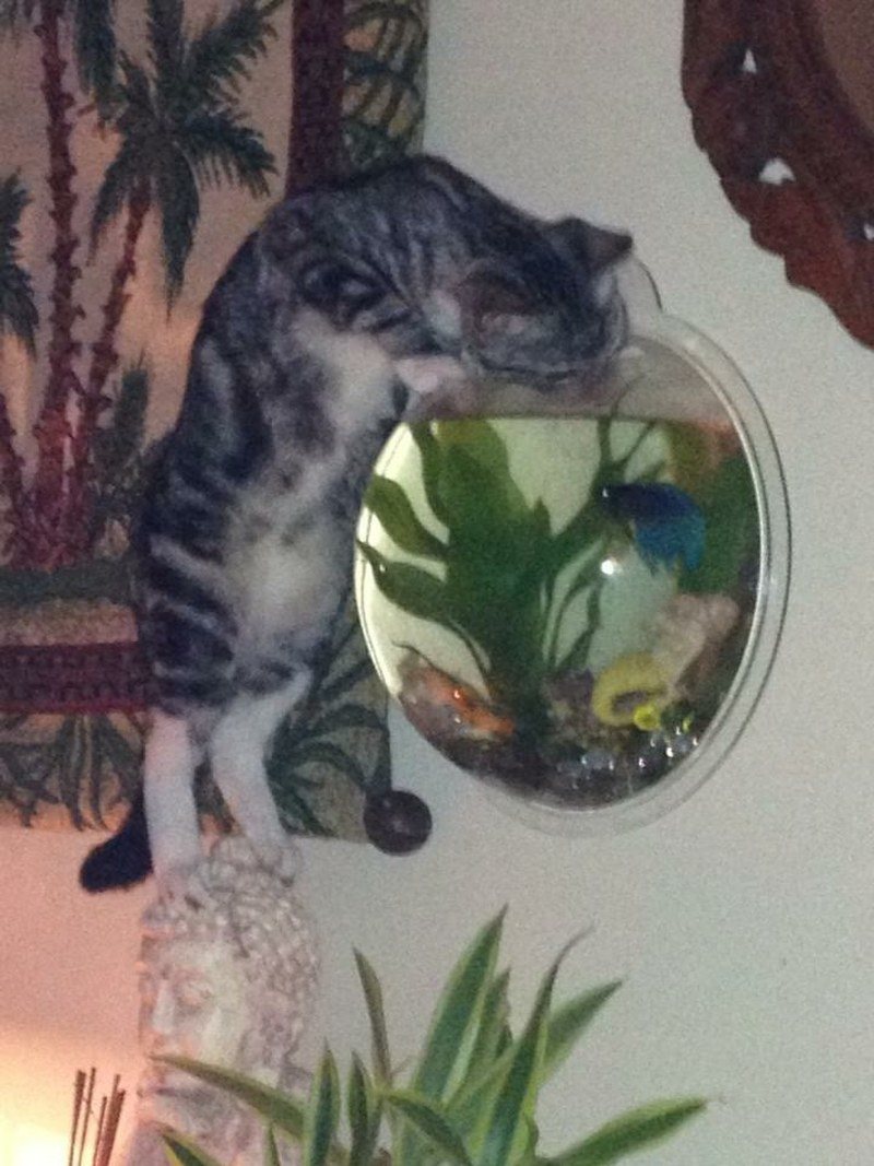 Un-Zen