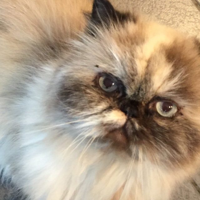 Here's Lookin' At You Kid