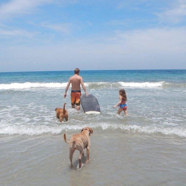 A Day With Daddy
