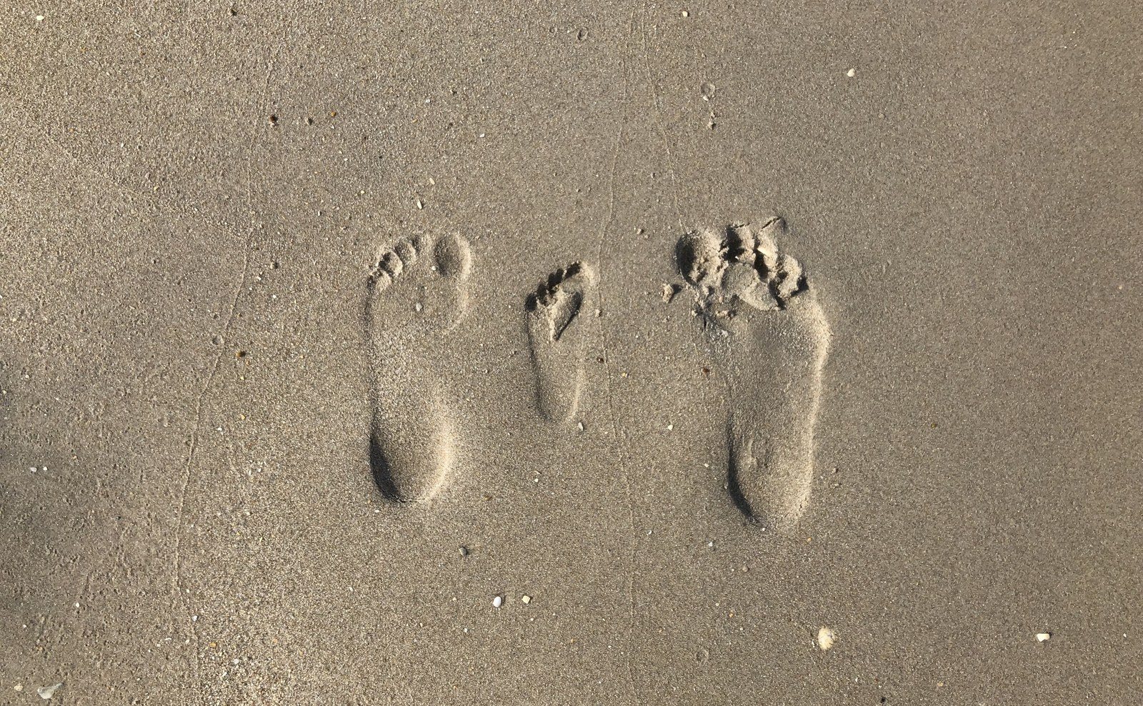 Mama, Baby & Daddy
