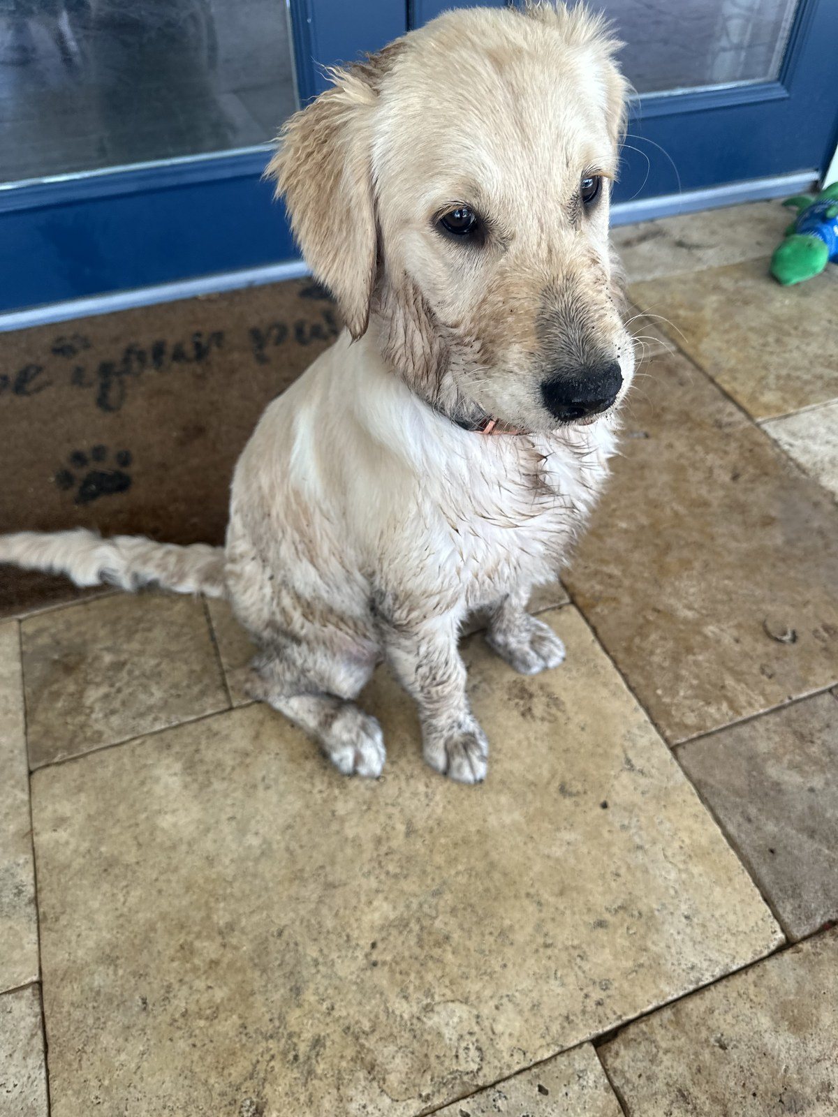 Dirty Girl