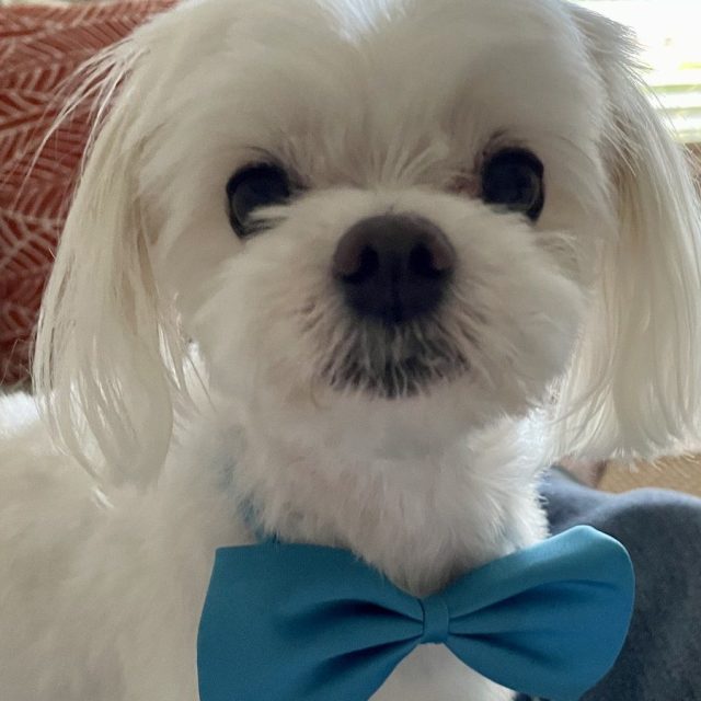 Ready For Anything 💕🐾💕