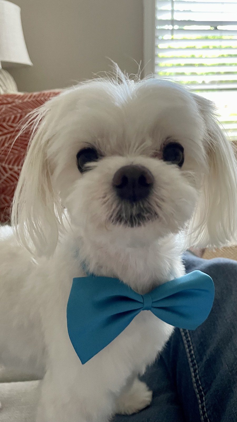Ready For Anything 💕🐾💕