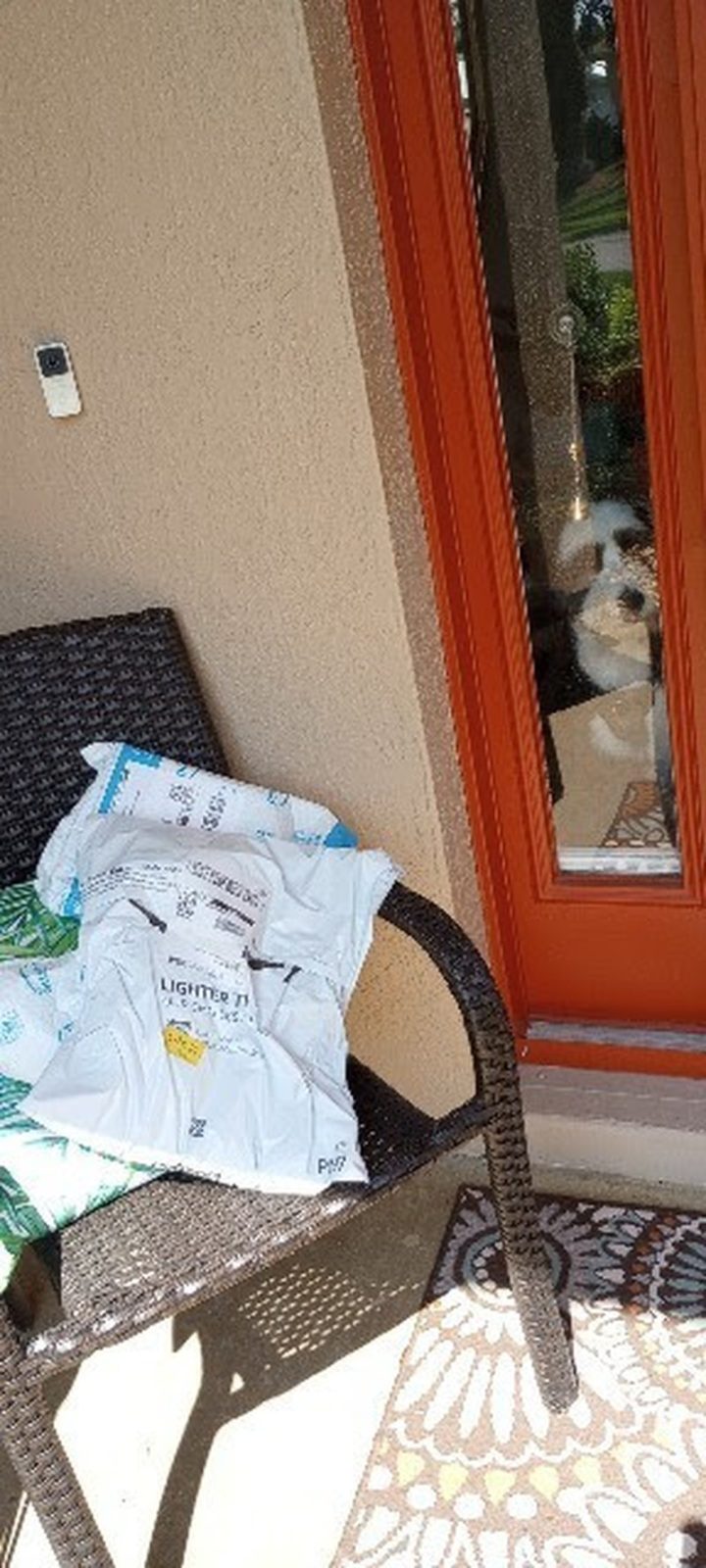 Suzie And Amazon