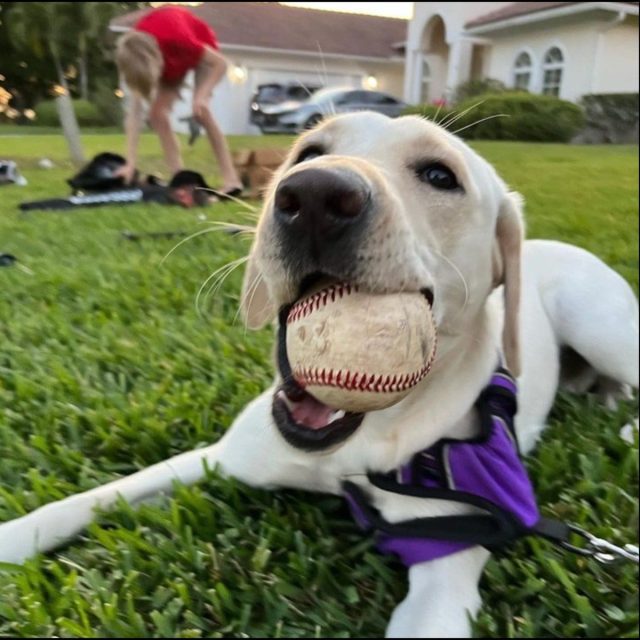 Boy And His Dog!