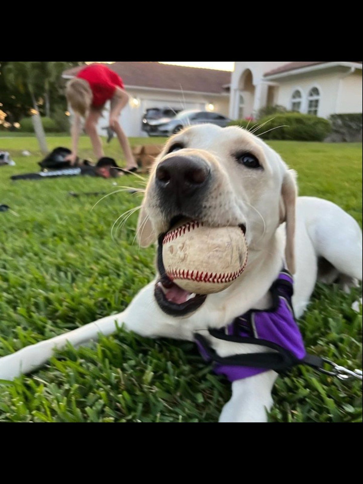 Boy And His Dog!