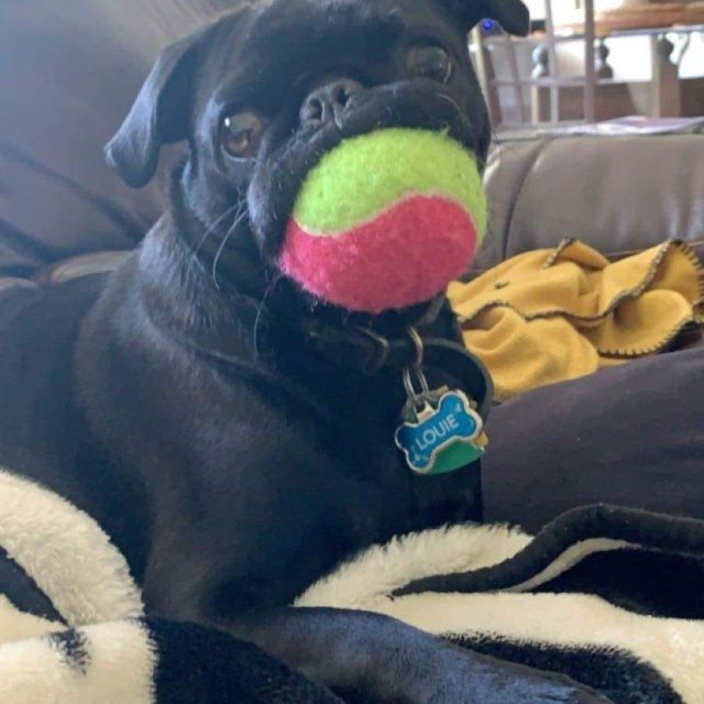 Time To Play?