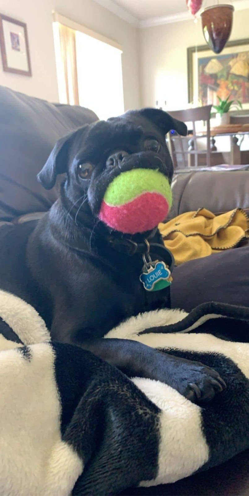 Time To Play?