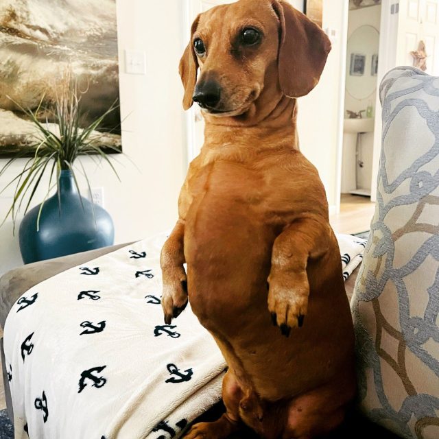 Sittin' Pretty