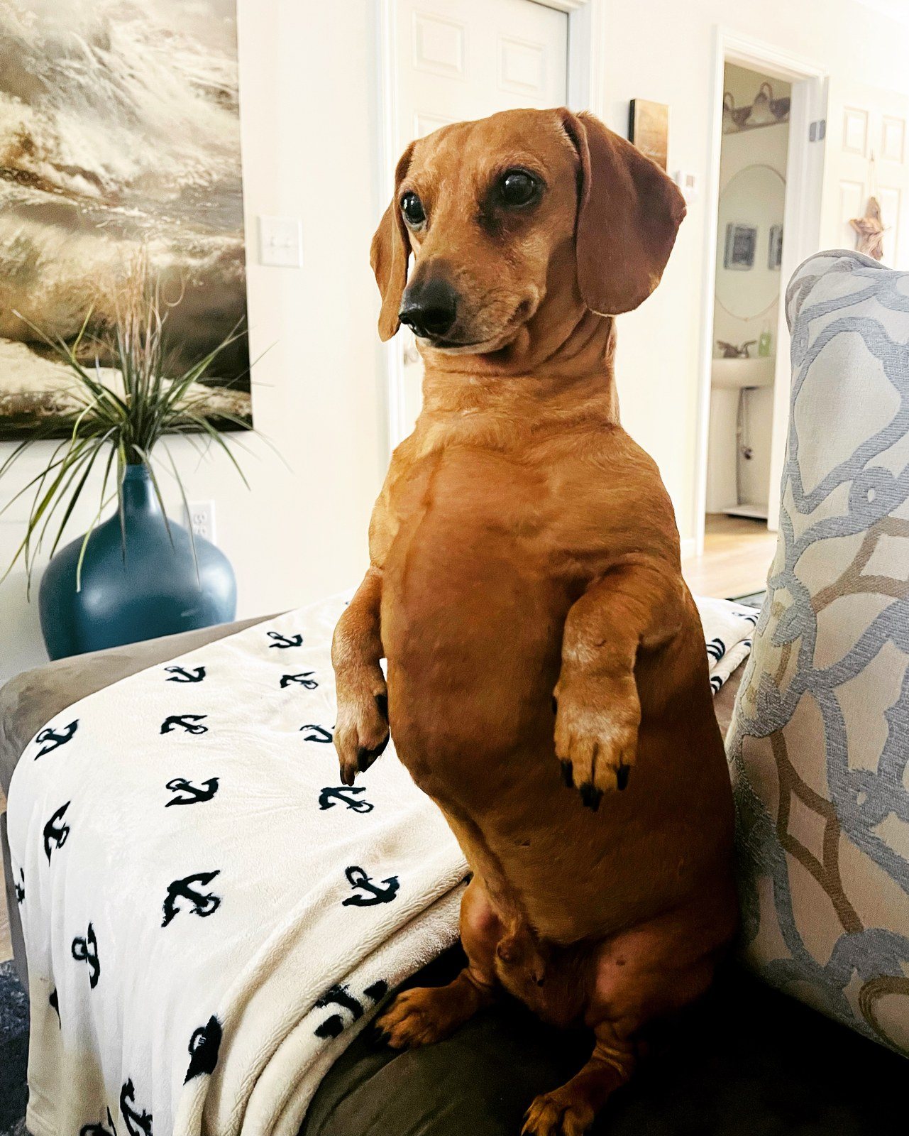 Sittin' Pretty
