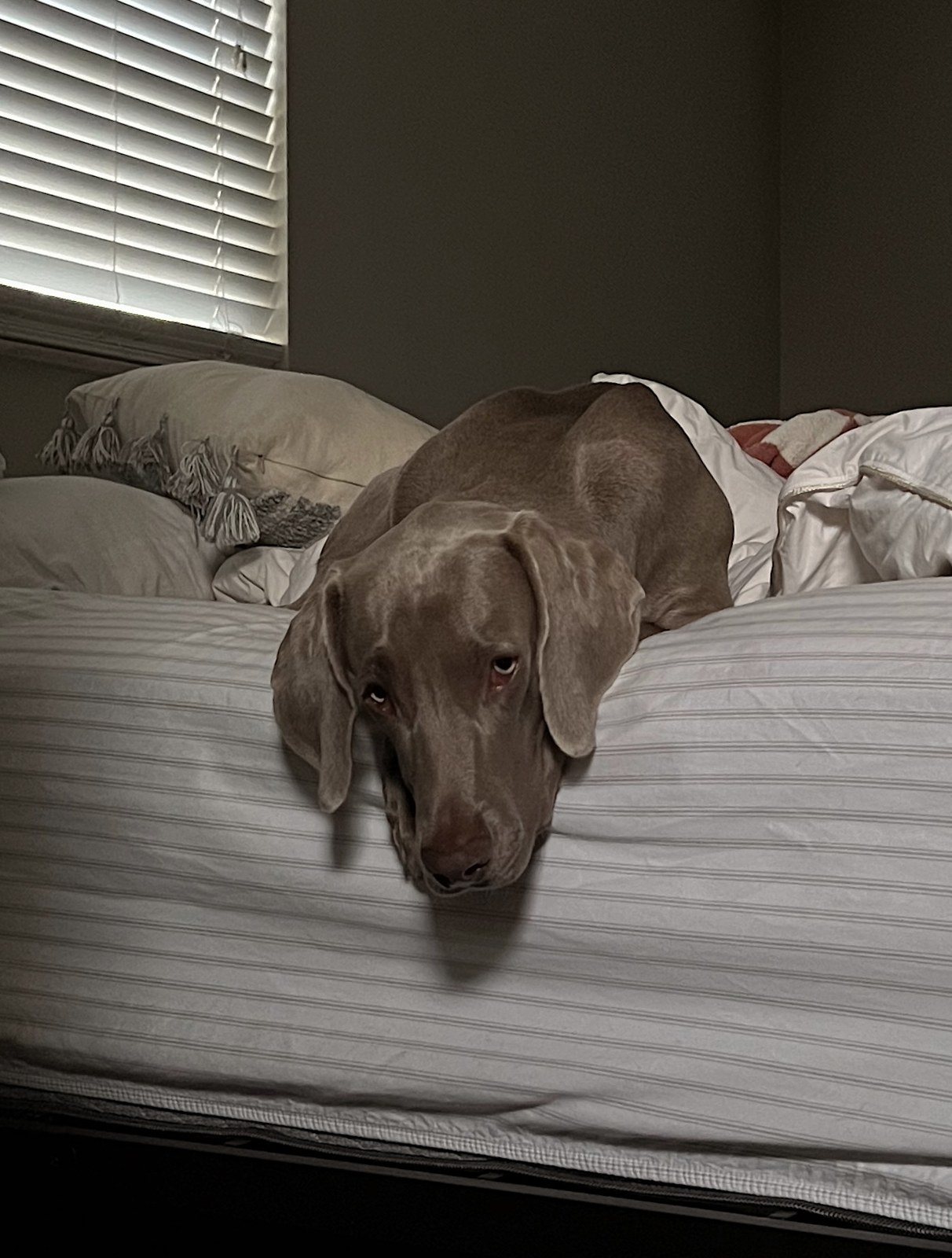 Are You Coming Back To Bed?