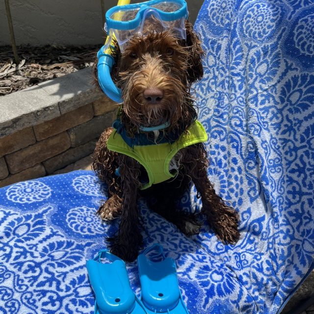 Snorkel Time? Let's Go!!
