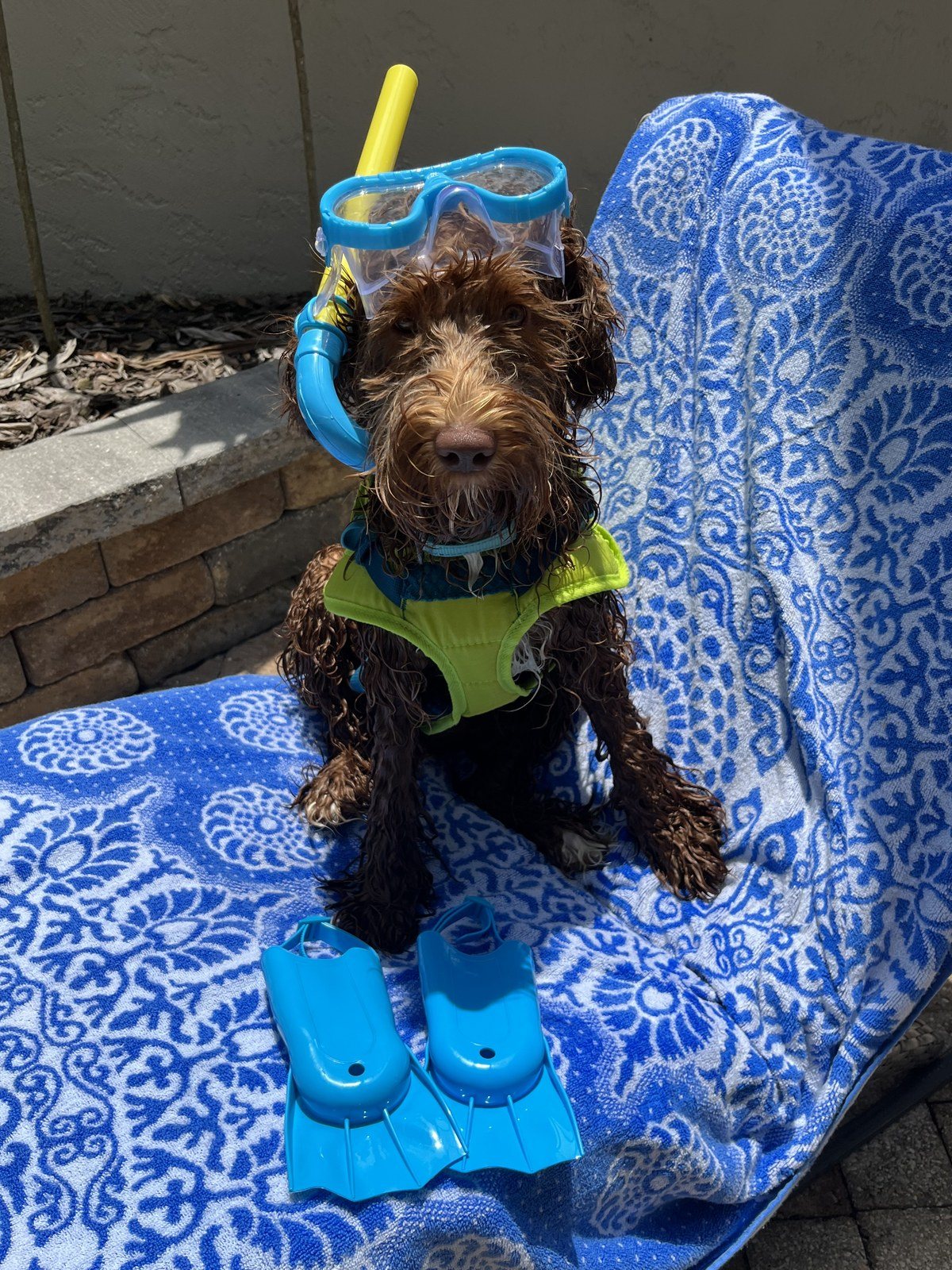 Snorkel Time? Let's Go!!