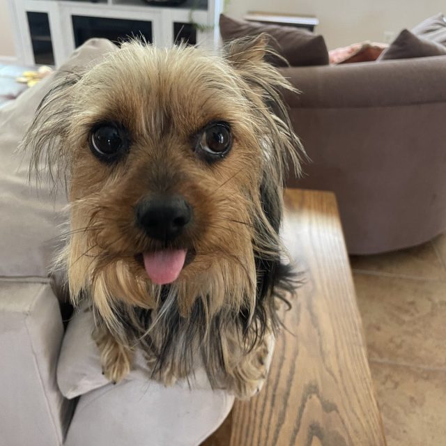 "Can I Have A Taste?"