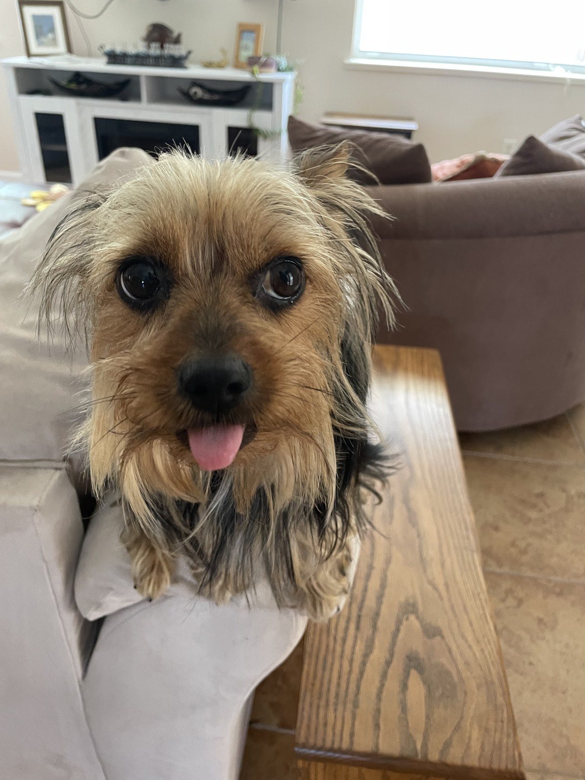 "Can I Have A Taste?"