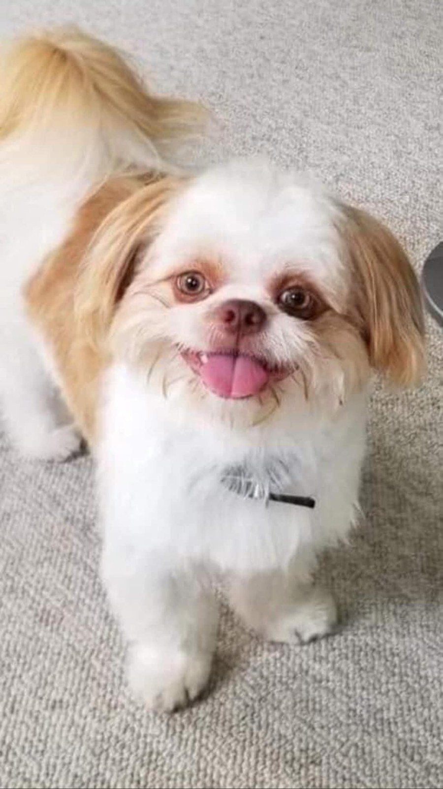 "Well Hi There"