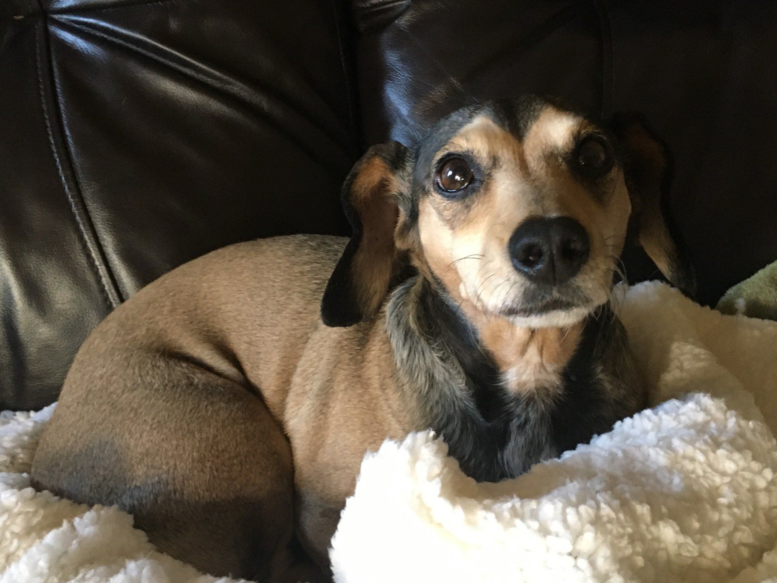 It's Cuddle Time!