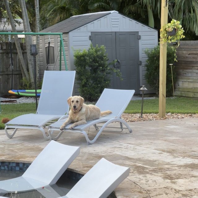 Crazy Golden