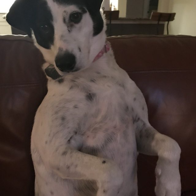 Who Me?