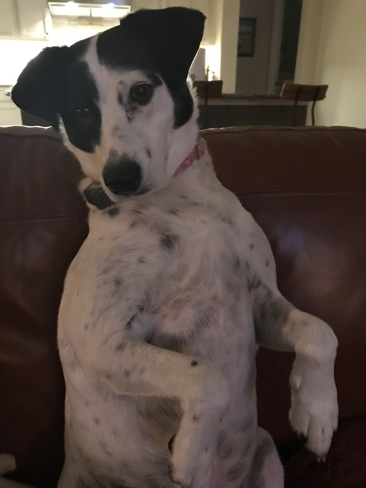 Who Me?