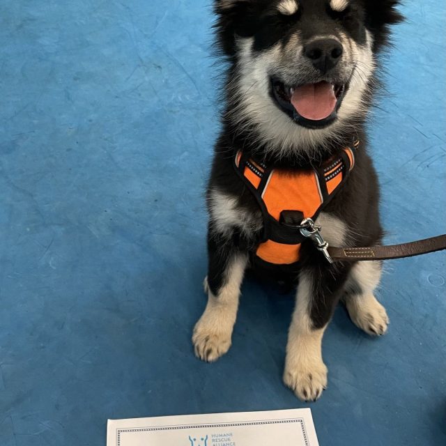 Nike The Kindergarten Grad!