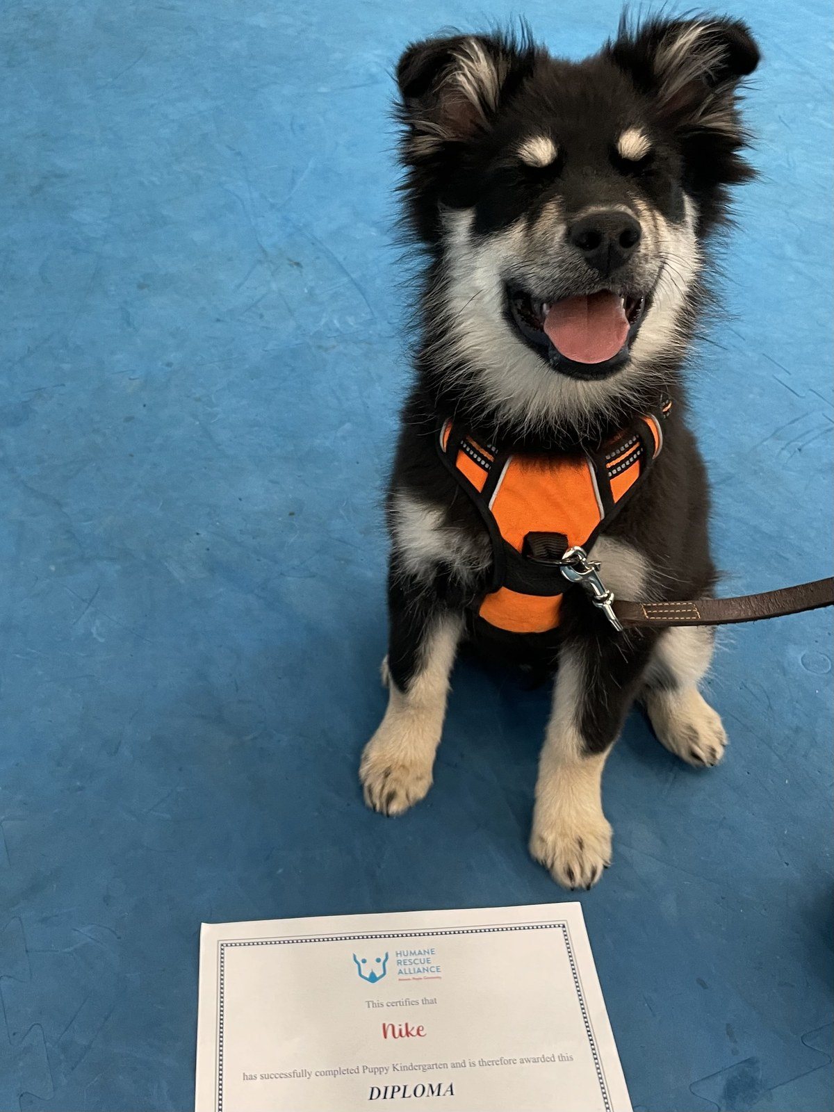 Nike The Kindergarten Grad!