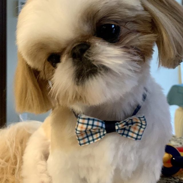 Can I Win The Contest?
