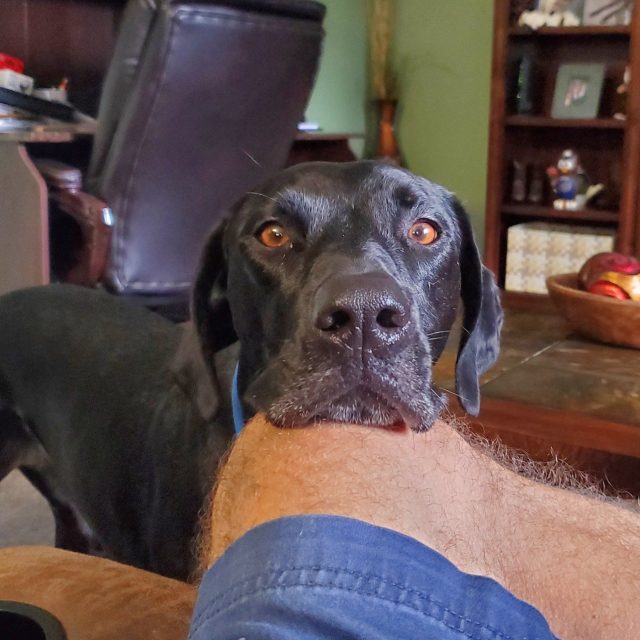 Please Please Please Can We Go To The Park?