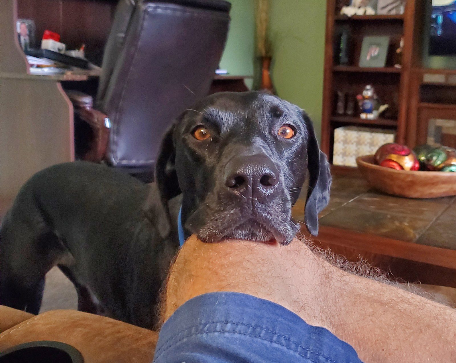 Please Please Please Can We Go To The Park?