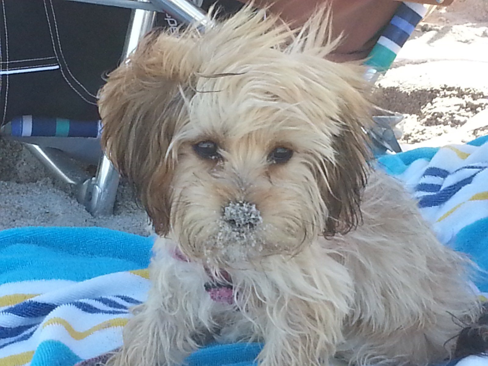 Do I Have Sand In My Hair?