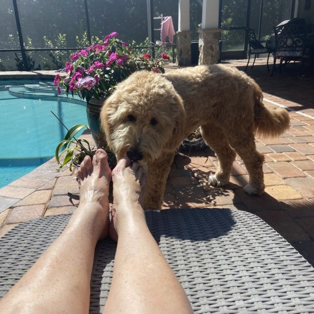 Foot Bath