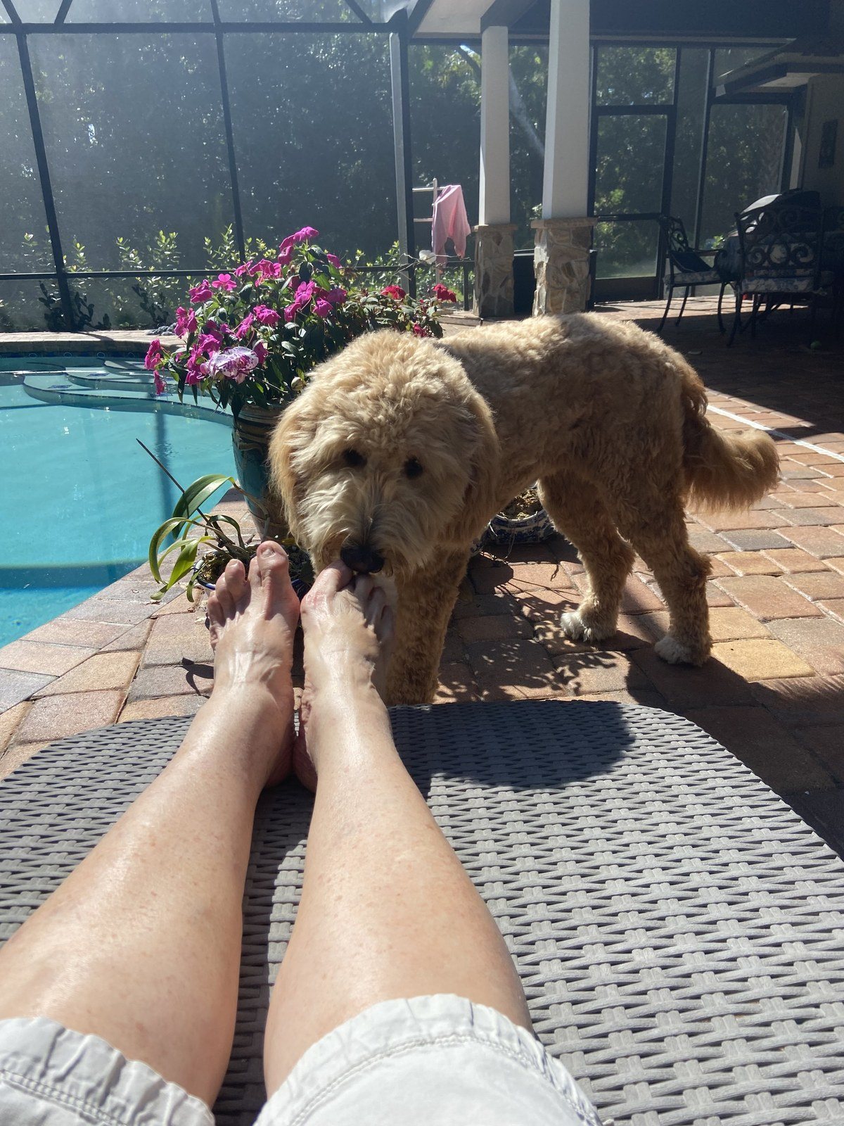 Foot Bath