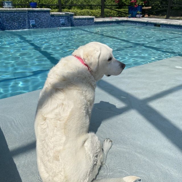My Favorite Spot