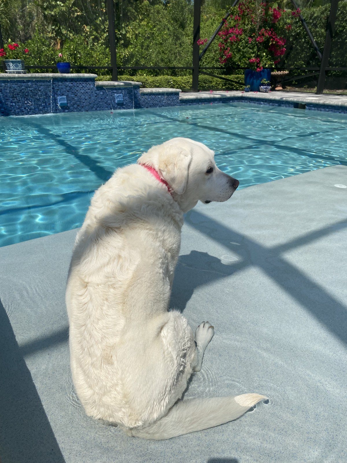 My Favorite Spot