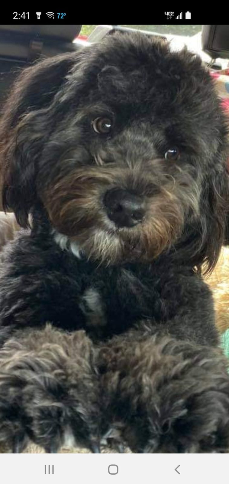 Florida Bound