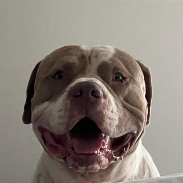 Smiley Sammy