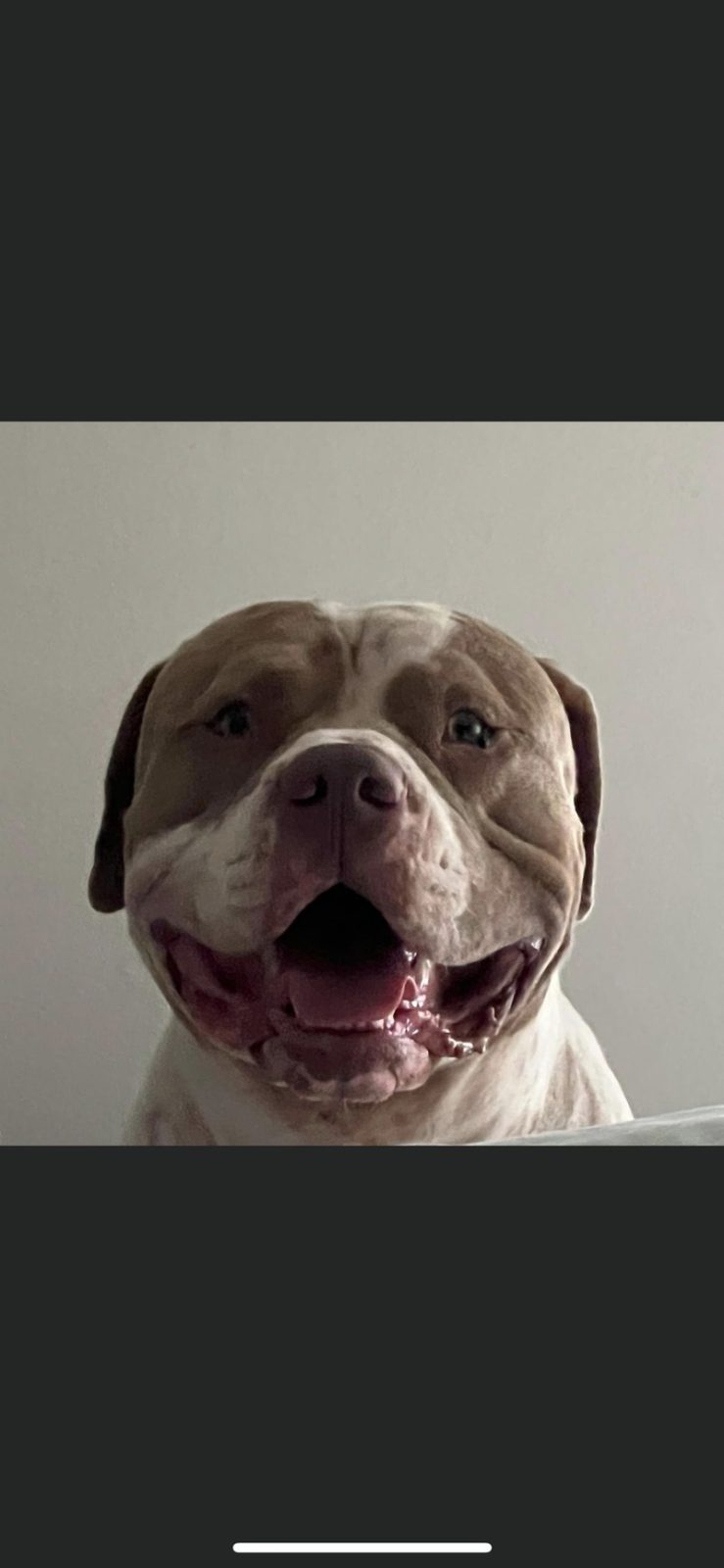 Smiley Sammy