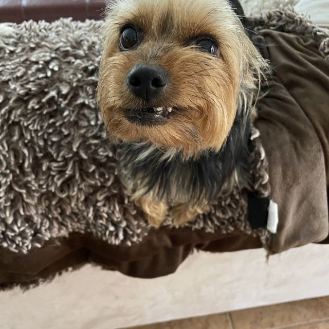 This Is My Real Smile.