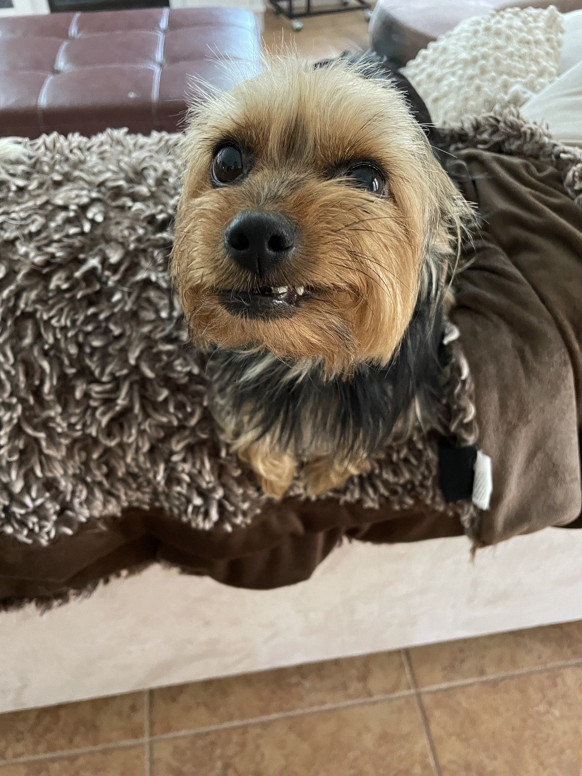 This Is My Real Smile.