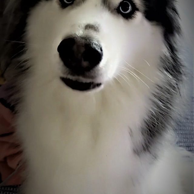 "Who?! ME??"
